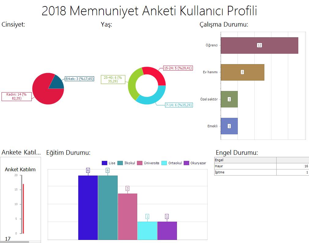 2018 Memnuniyet Anketi Kullanıcı Profili .png
